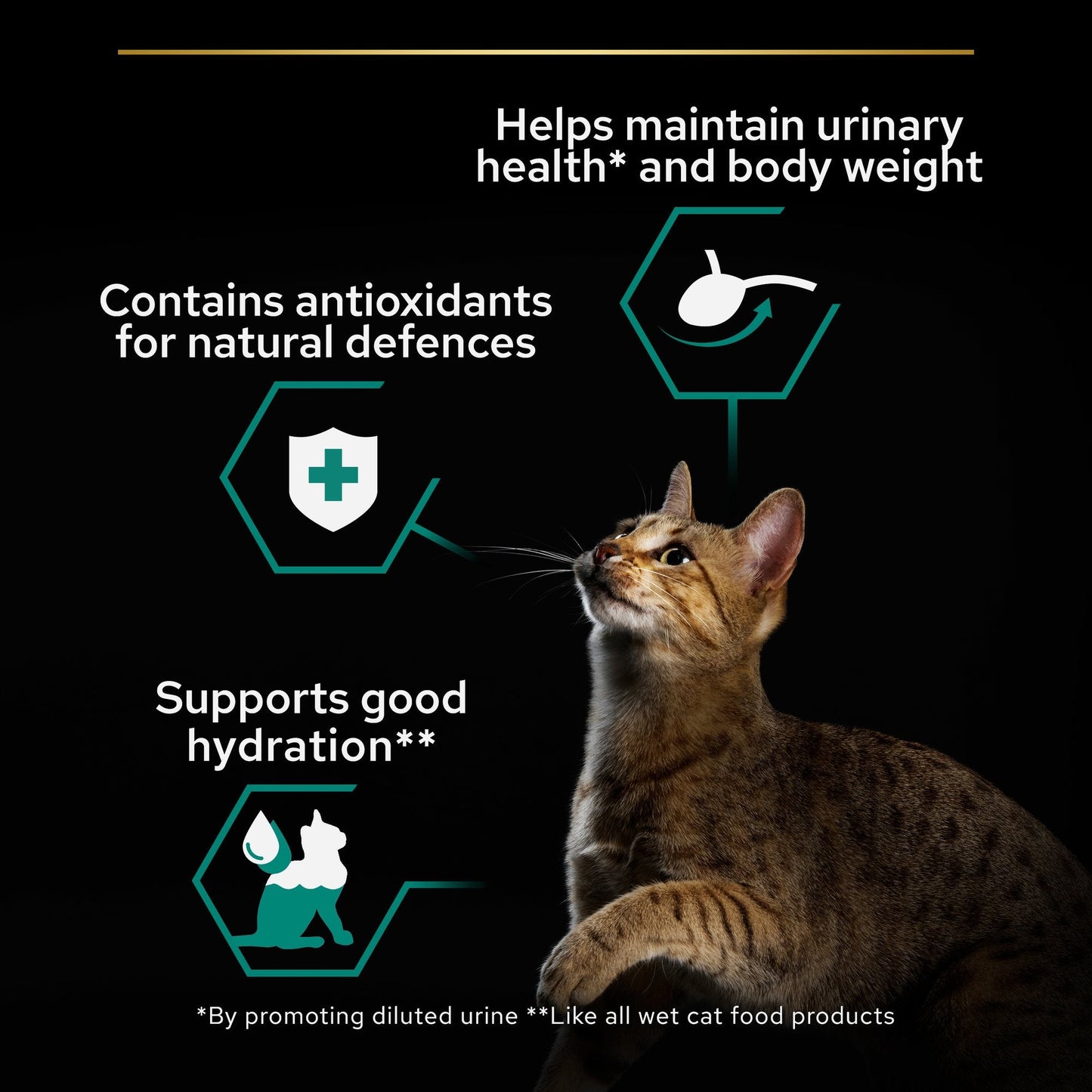 Purina Pro Plan Adult Wet Cat Food, Chicken in Gravy