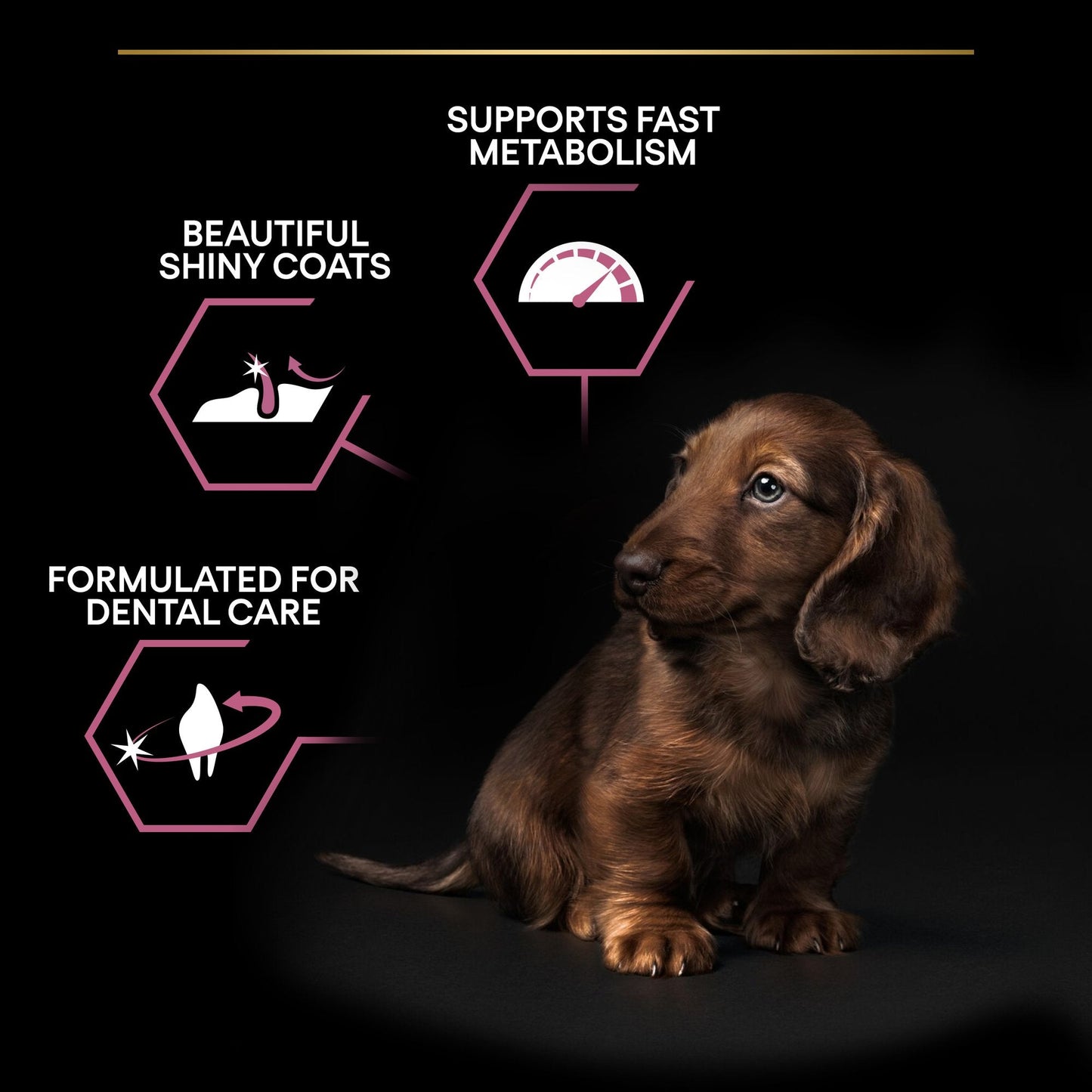 Purina Pro Plan Sensitive Skin Dry Dog food with Salmon for Small and Mini Puppy, 3 kg