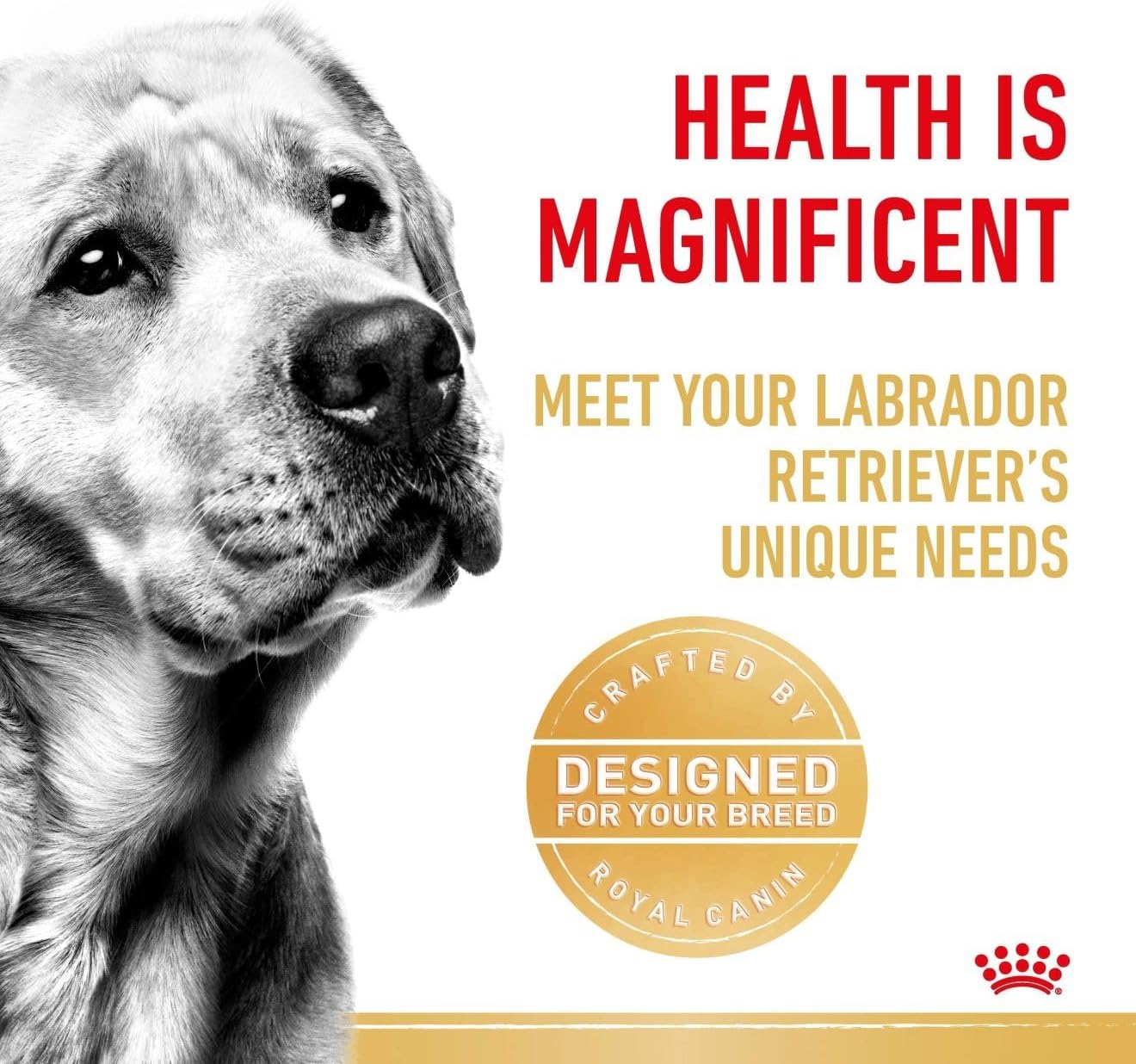 Royal Canin Breed Health Nutrition Labrador (Dog Wet Food - Pouches)