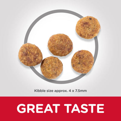 Hills Science Plan Perfect Weight Small & Mini Adult Dog Food with Chicken 1.5kg