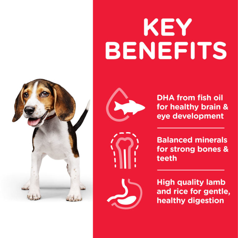 Hills Science Plan Medium Puppy Food with Lamb & Rice