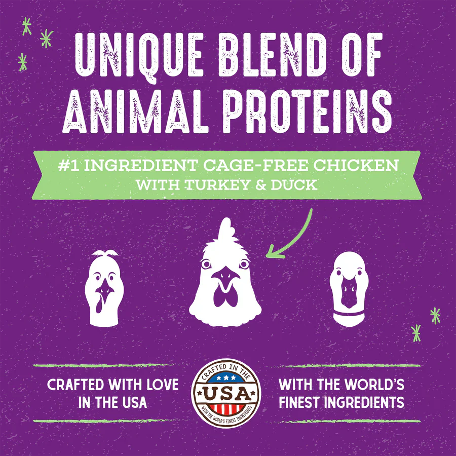 Stella & Chewys Baked Kibble for Cats - Raw Blend Cage-Free Recipe