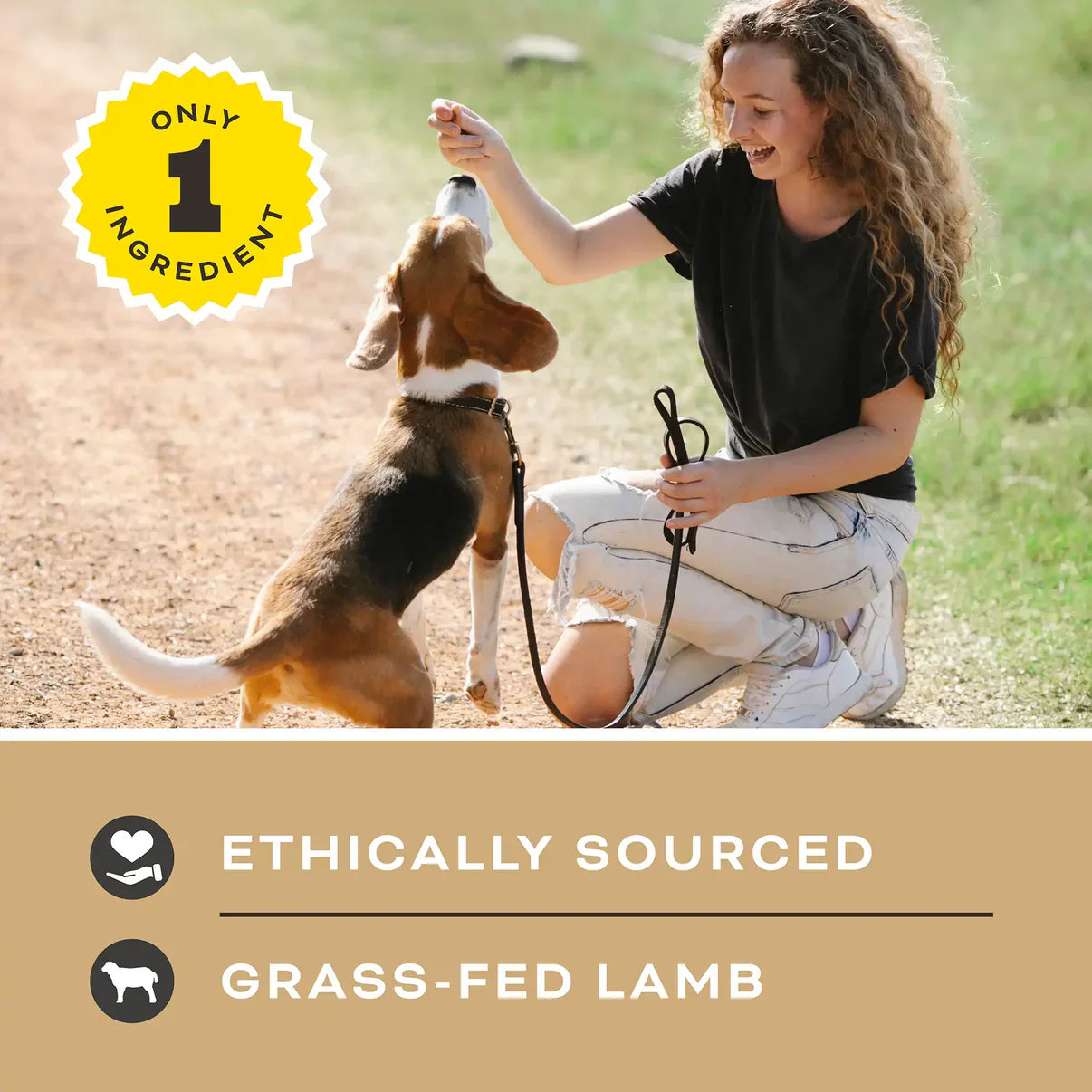 Primal Lets All Get A Lung Lamb Dehydrated Treat 1.5oz