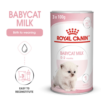 Royal Canin Feline Health Nutrition Babycat Milk Cat Wet Food 300 g