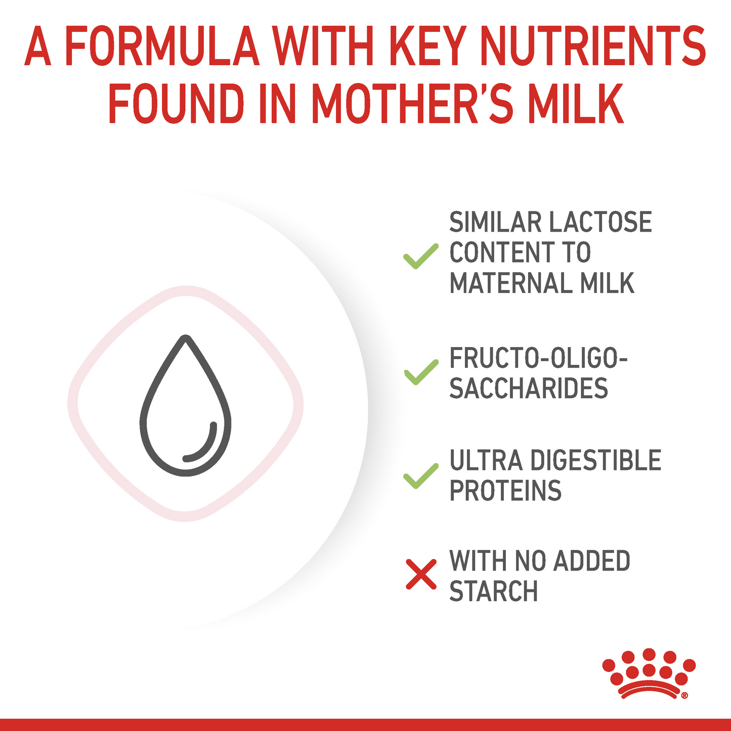 Royal Canin Feline Health Nutrition Babycat Milk Cat Wet Food 300 g