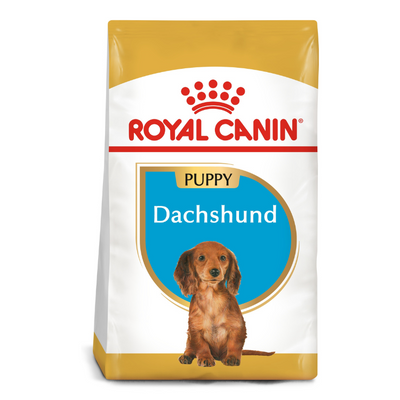 Royal Canin Dachshund Puppy Dry Food 1.5kg available at PetCentral Qatar