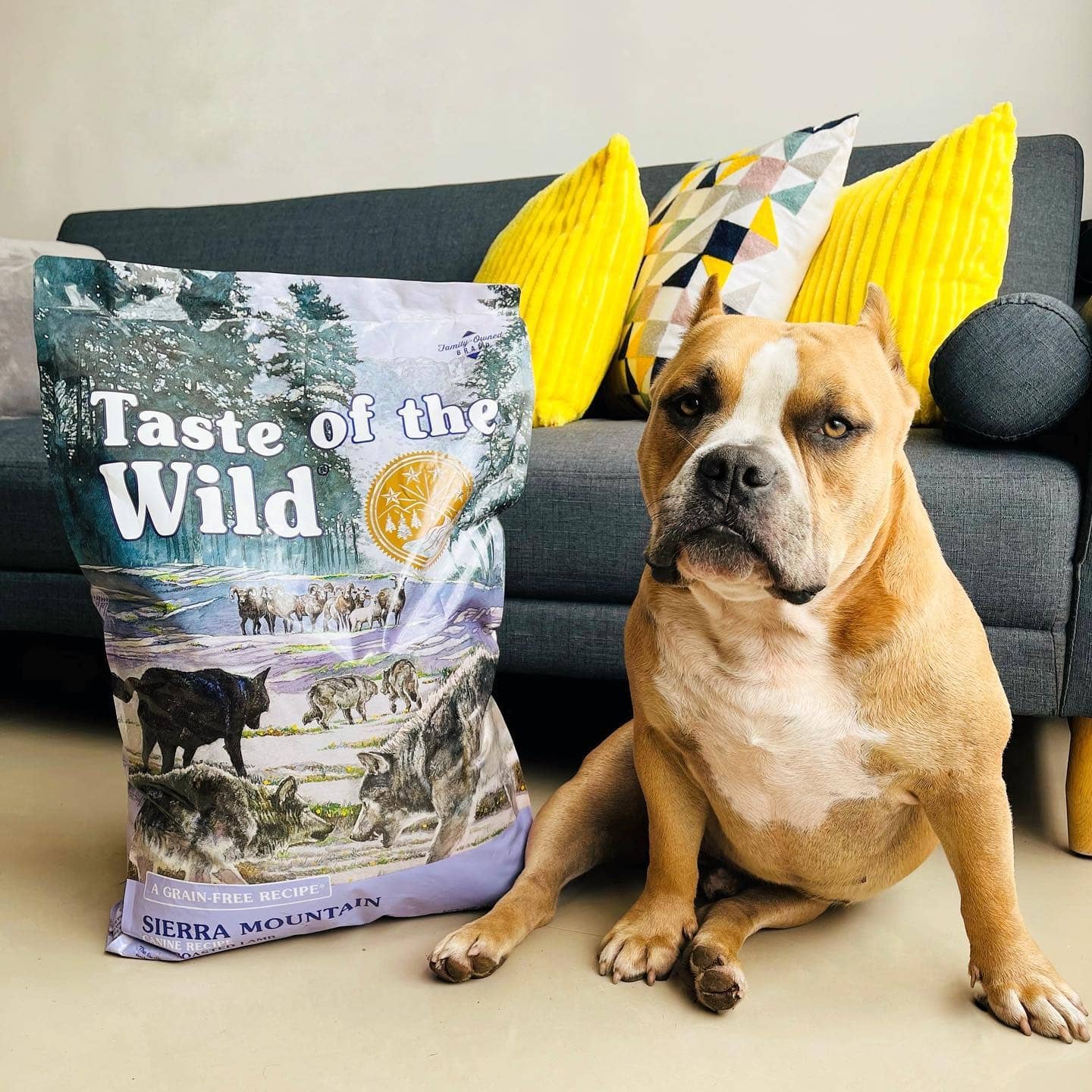 Taste Of Wild Sierra Mountain Canine Recipe with Roasted Lamb