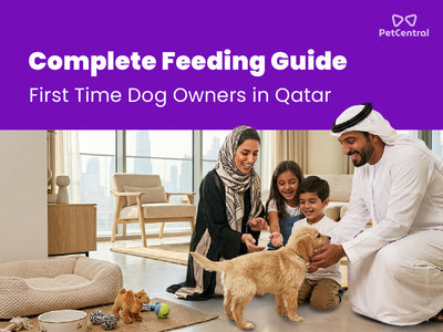 Complete Feeding Guide for First-Time Dog Owners in Qatar