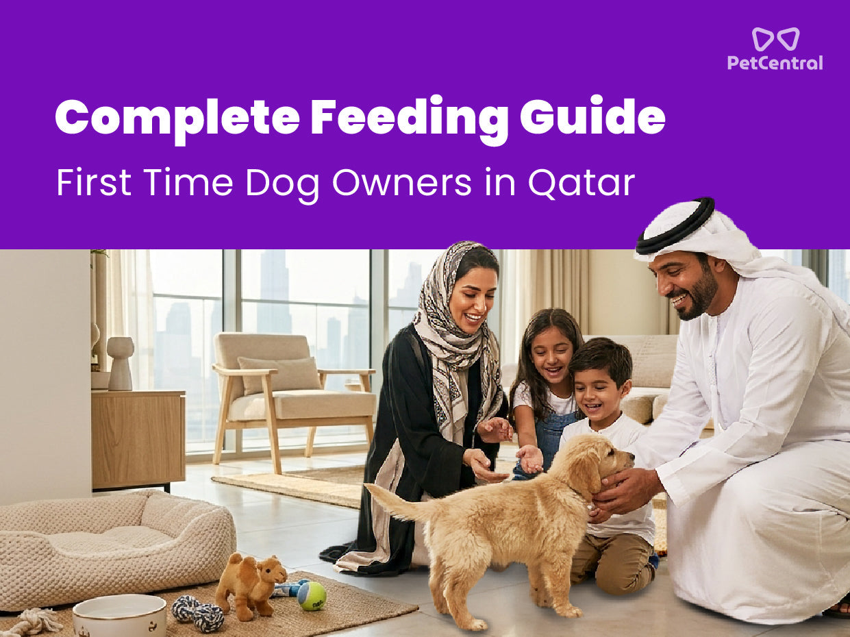 Complete Feeding Guide for First-Time Dog Owners in Qatar