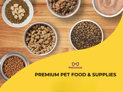 Best Pet Stores in Qatar to Buy Quality Pet Food (Dogs, Cats, Birds, Fish & More)