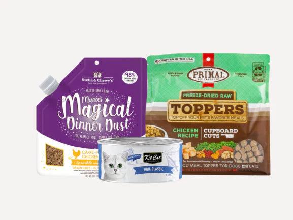 Cat Meal Topper - Kitten