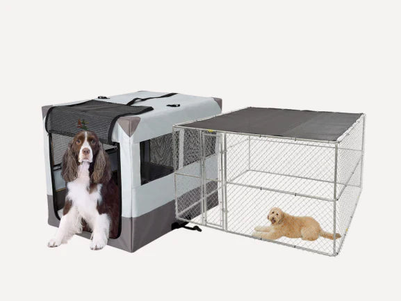 Dog Carrier & Travel