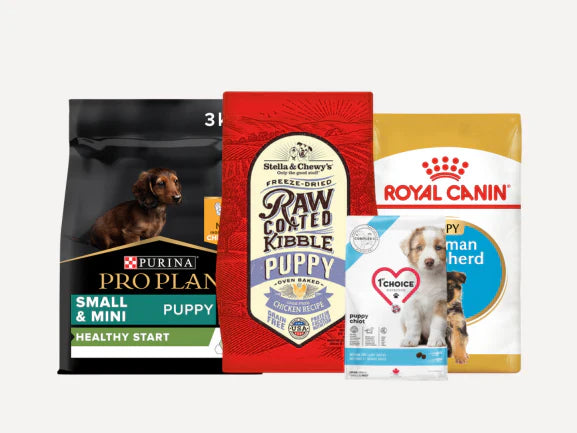 Dog Dry Food - Puppy
