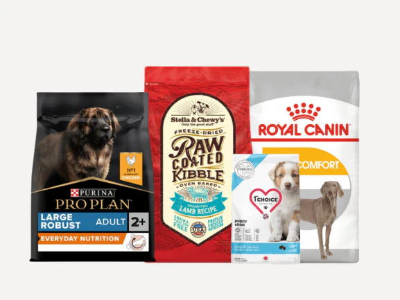 Dog Dry Food - Large | Maxi Breed