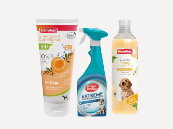 Dog Health & Hygiene