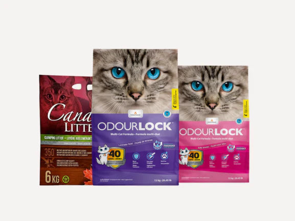 Dust Free Cat Litter