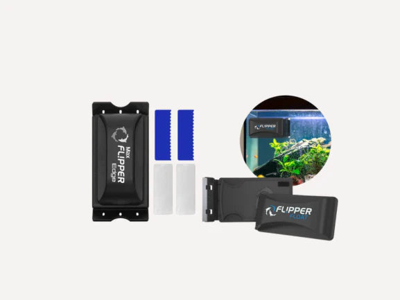 Algae Cleaner & Replacement Blades