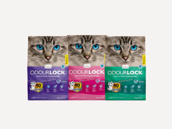 Intersand - Scented Litter