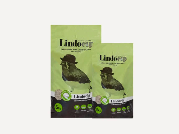 LindoCat - Bird Sand