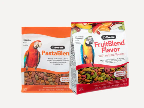 Macaw Food