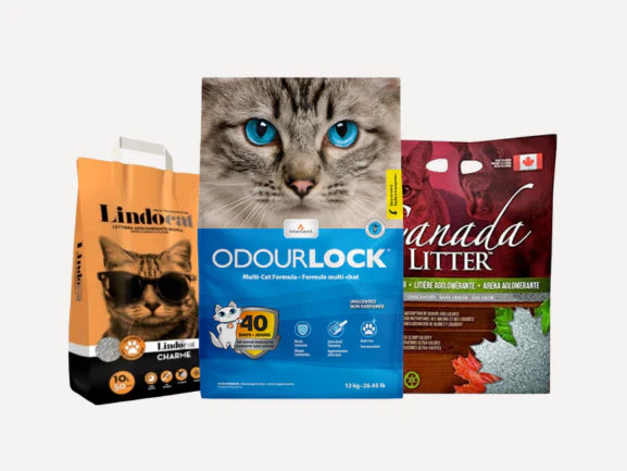 Odour Control Cat Litter