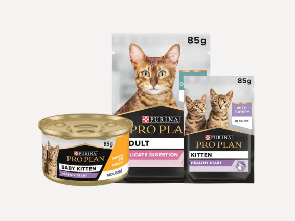 Purina Pro Plan - Cat Wet Food