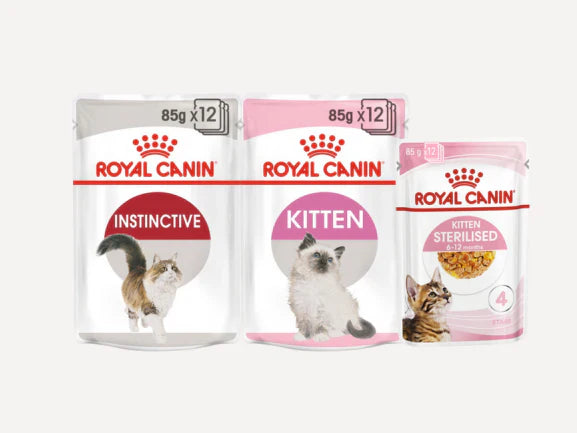 Royal Canin - Cat Wet Food