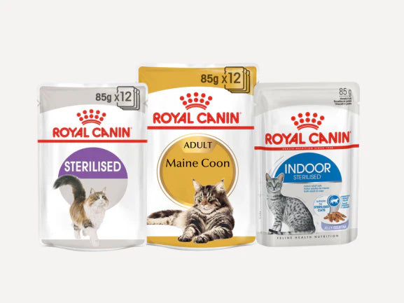 Royal Canin - Chunks in Jelly