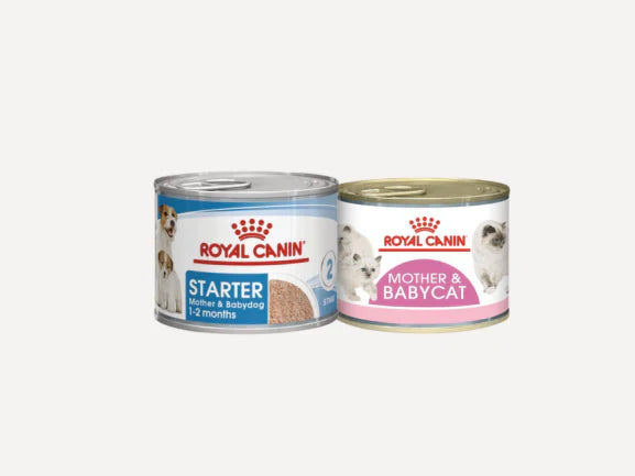 Royal Canin - Pate