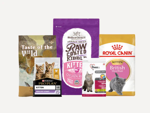 Cat Dry Food - Kitten