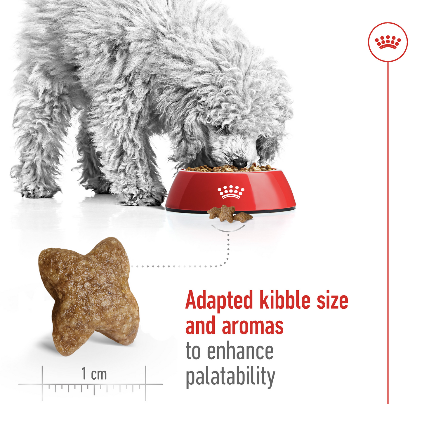 Royal Canin Size Health Nutrition Mini Adult Dry Dog Food