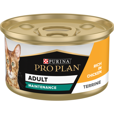 Purina Pro Plan Adult Maintenance, Wet Cat Food, Terrine rich in Chicken