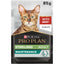 Purina Pro Plan Wet Cat Food, Beef in Gravy