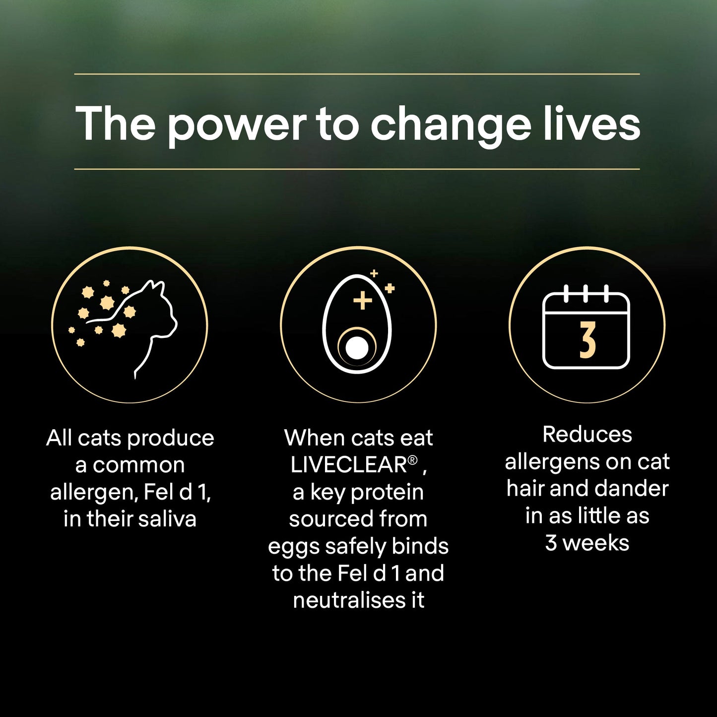 Purina Pro Plan LiveClear Kitten, Allergen Reducing Dry Cat Food with Turkey 1.4 kg