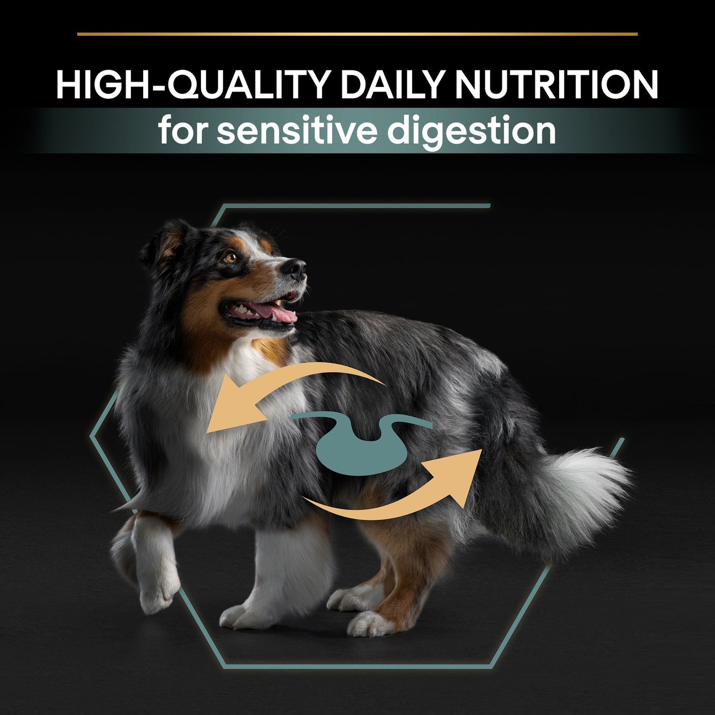 Purina Pro Plan Sensitive Digestion Medium Adult, Dry Dog food with Lamb