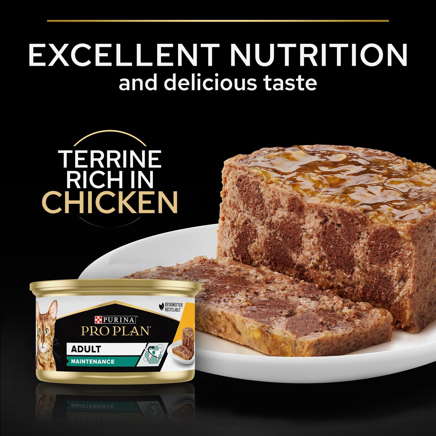 Purina Pro Plan Adult Maintenance, Wet Cat Food, Terrine rich in Chicken