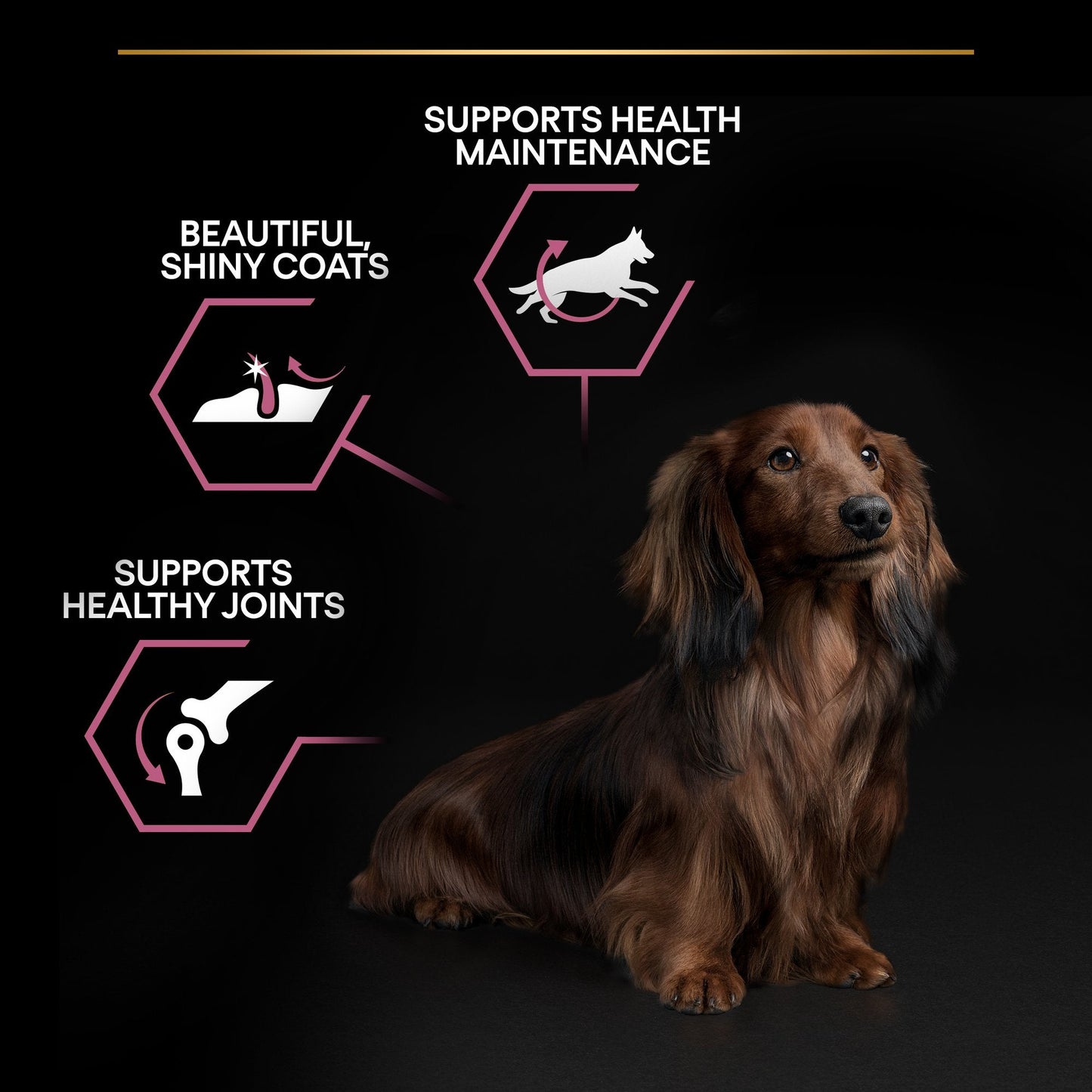 Purina Pro Plan Sensitive Skin Small and Mini Adult, Dry Dog food with Salmon, 3 kg