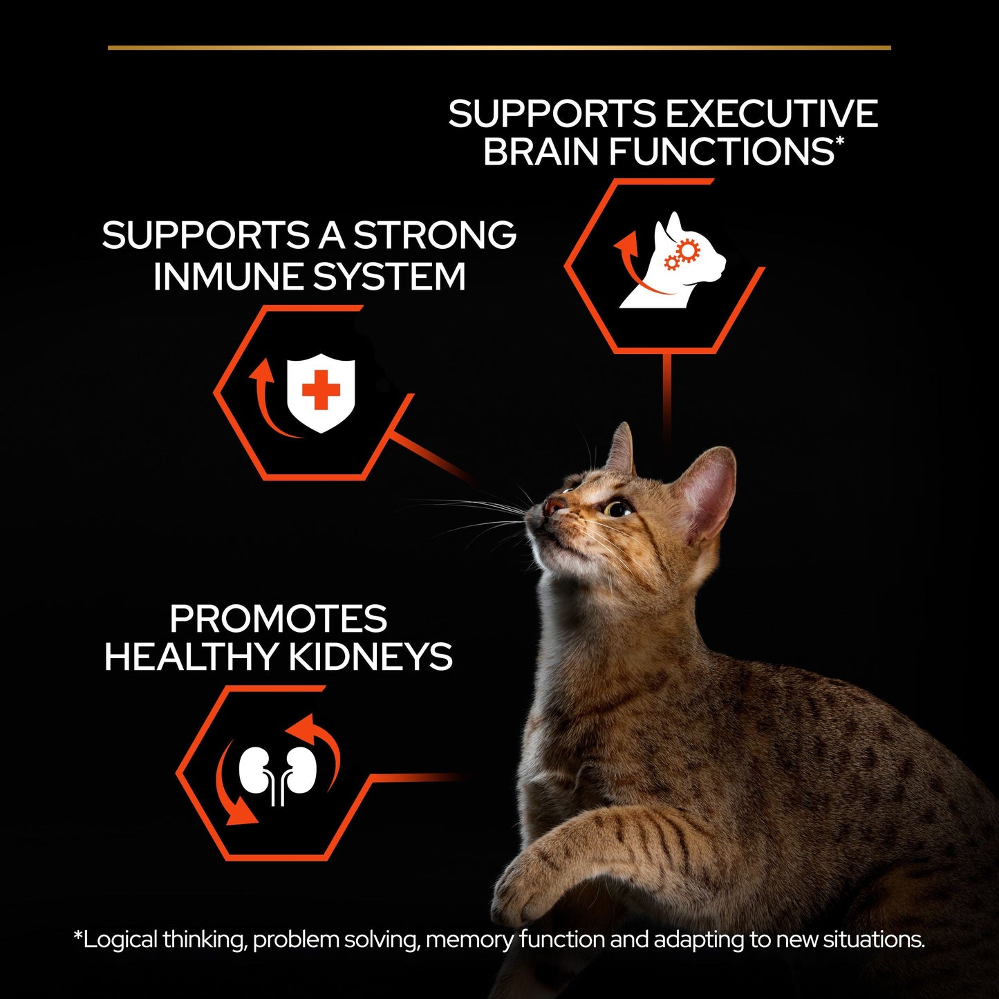 Purina Pro Plan Adult Vital Functions Everyday Dry Cat Food with Salmon