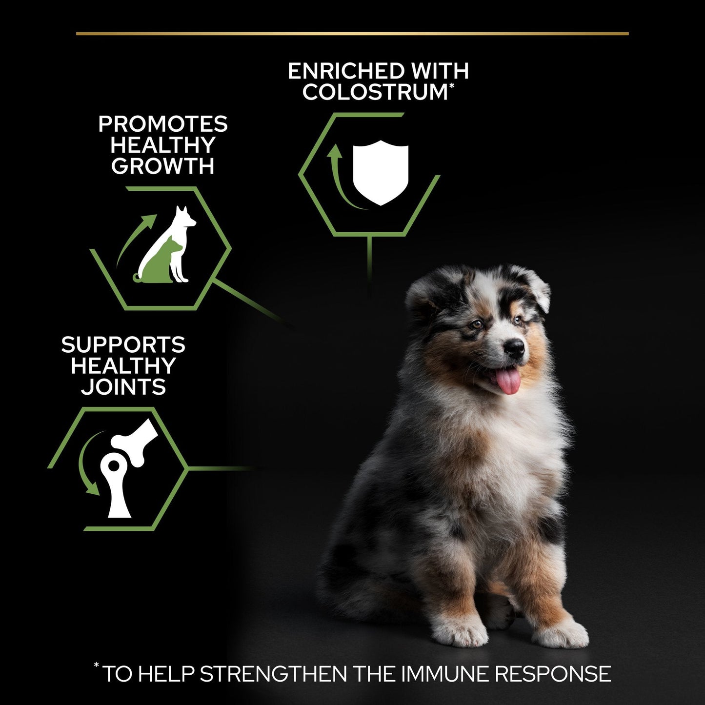 Purina Pro Plan Medium Puppy, Dry Dog food with Chicken