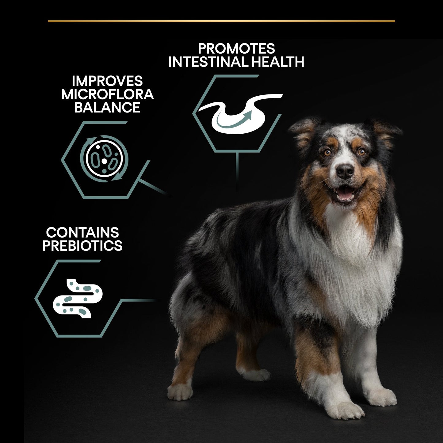 Purina Pro Plan Sensitive Digestion Medium Adult, Dry Dog food with Lamb