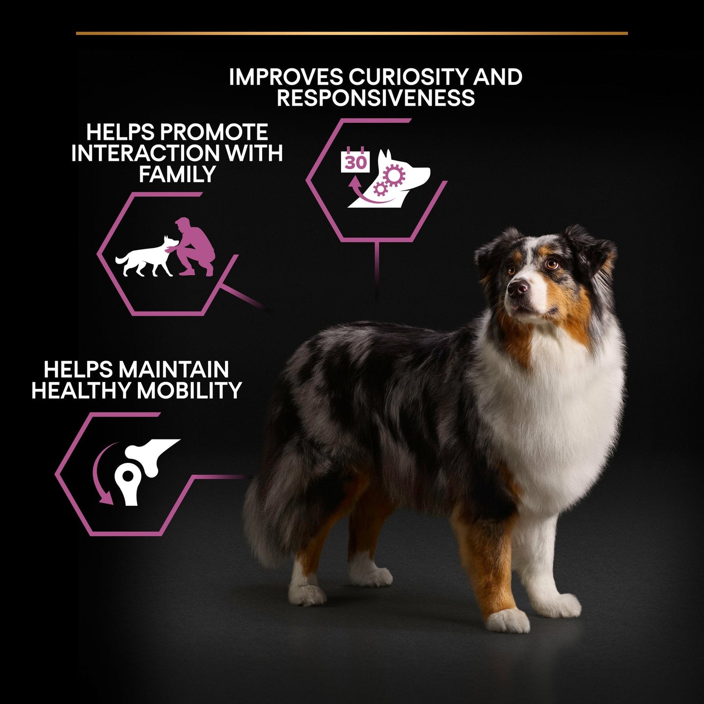 Purina Pro Plan Age Defence Medium and Large Senior 7+, Dry Dog food with Chicken