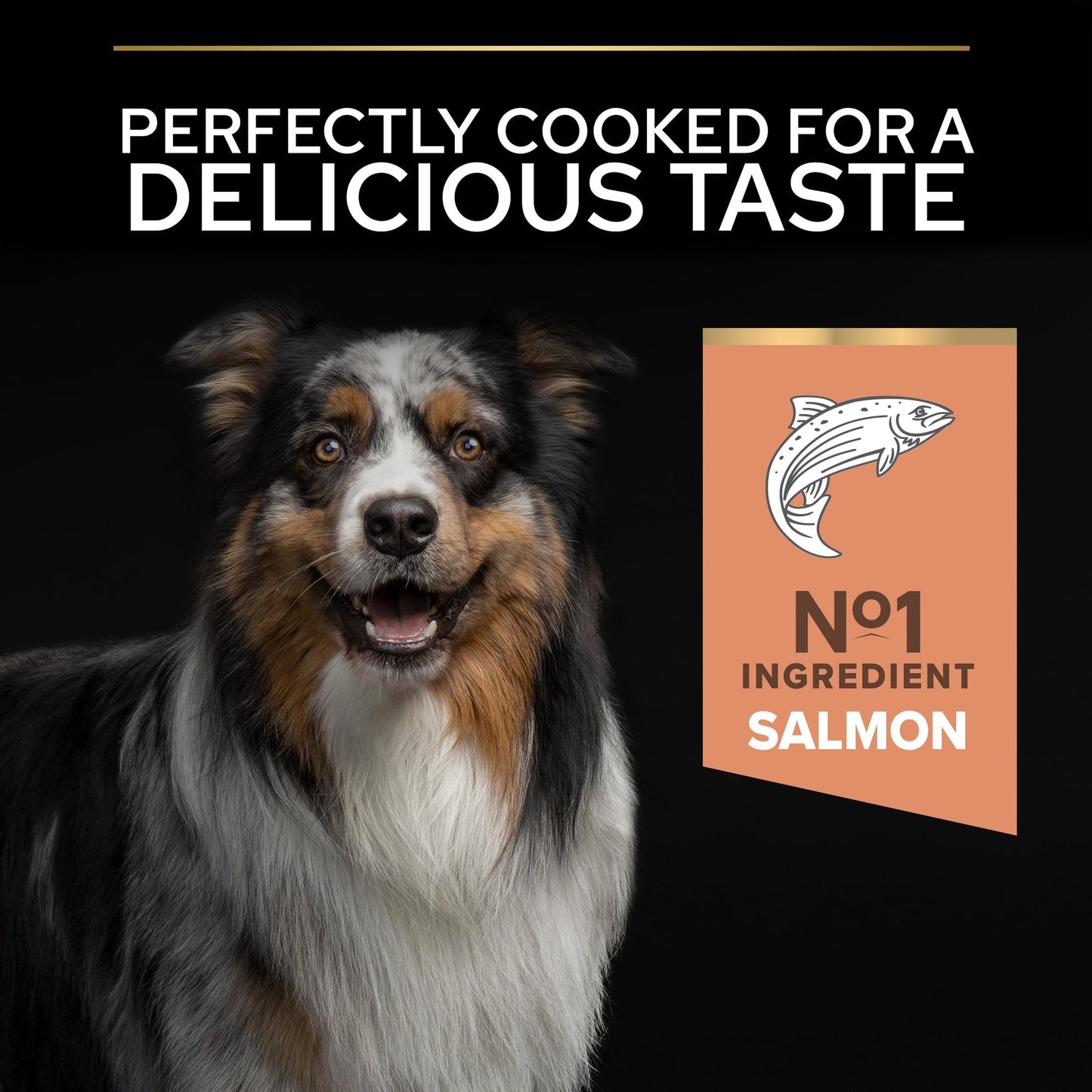 Purina Pro Plan Sensitive Skin Medium Adult, Dry Dog food with Salmon, 14 kg