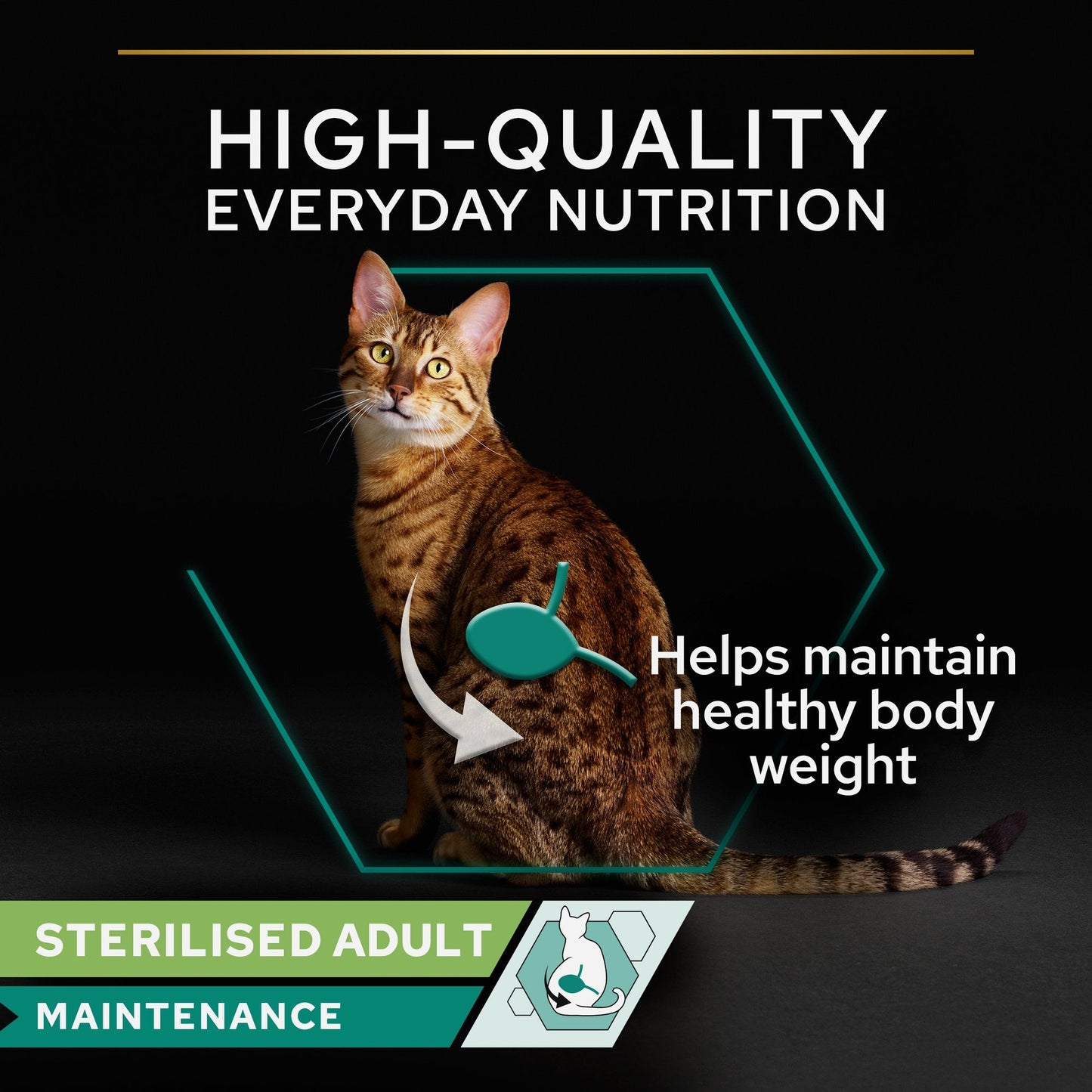 Purina Pro Plan Adult Wet Cat Food, Chicken in Gravy