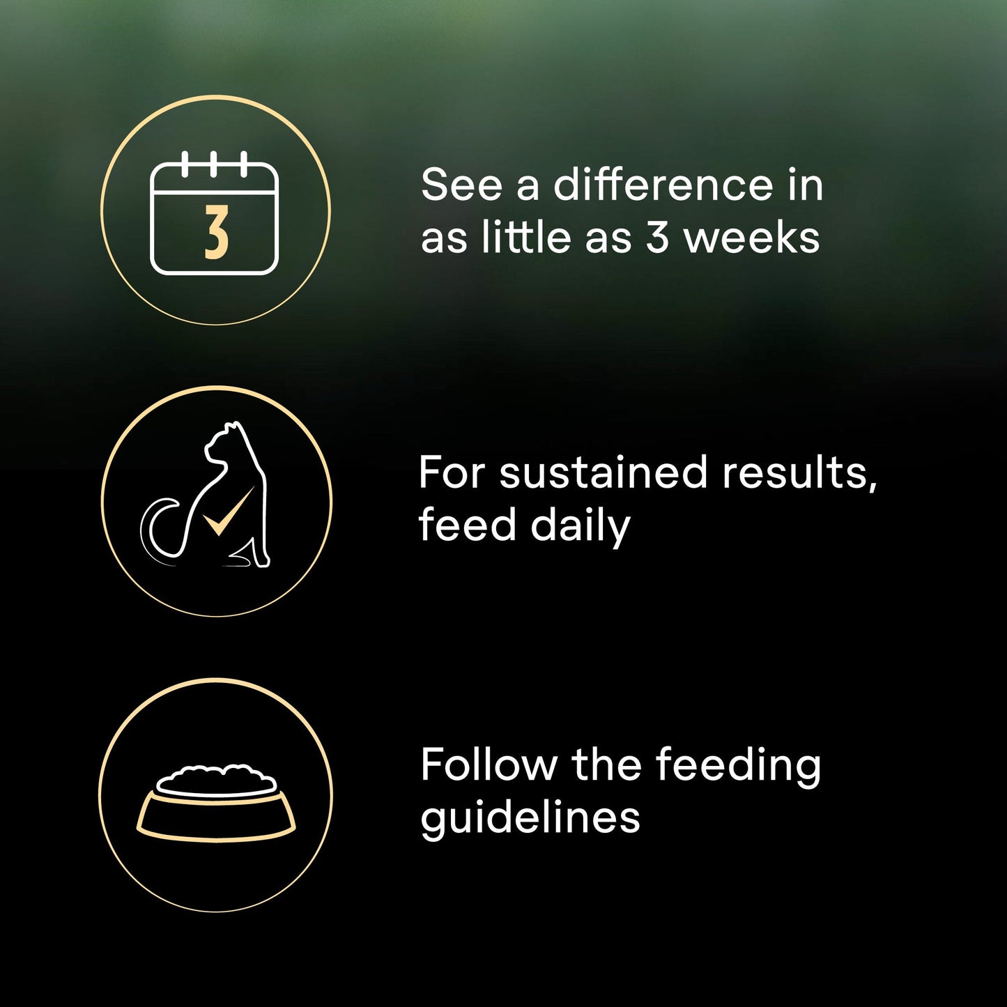 Purina Pro Plan LiveClear Adult, Allergen Reducing Dry Cat Food with Turkey