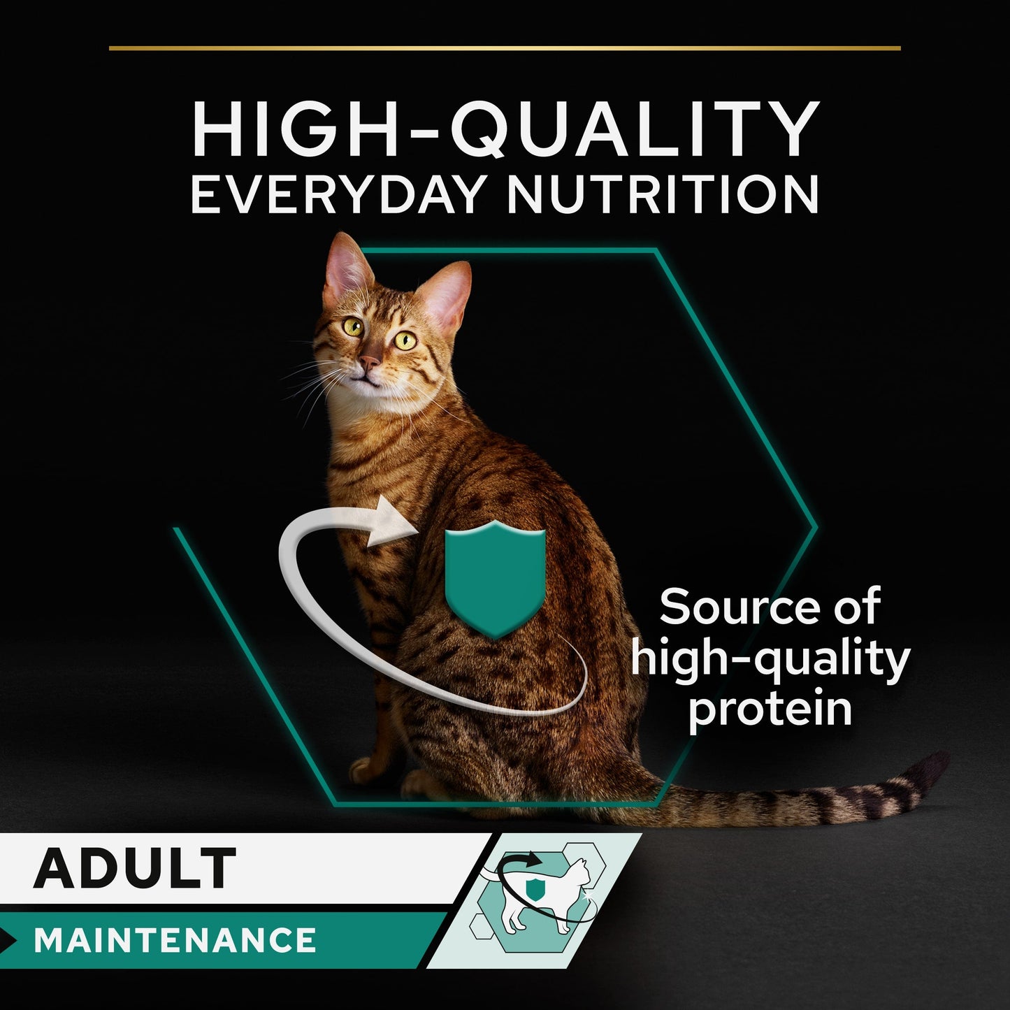 Purina Pro Plan Adult Maintenance, Wet Cat Food, Terrine rich in Chicken