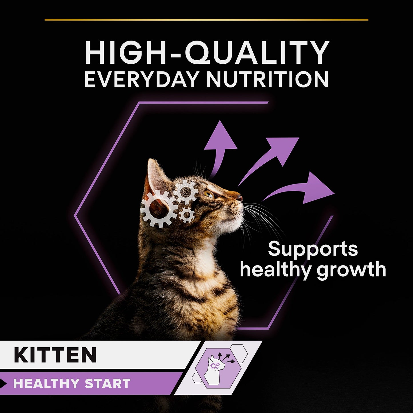 Purina Pro Plan Kitten , Wet Cat Food, Mousse rich in Chicken