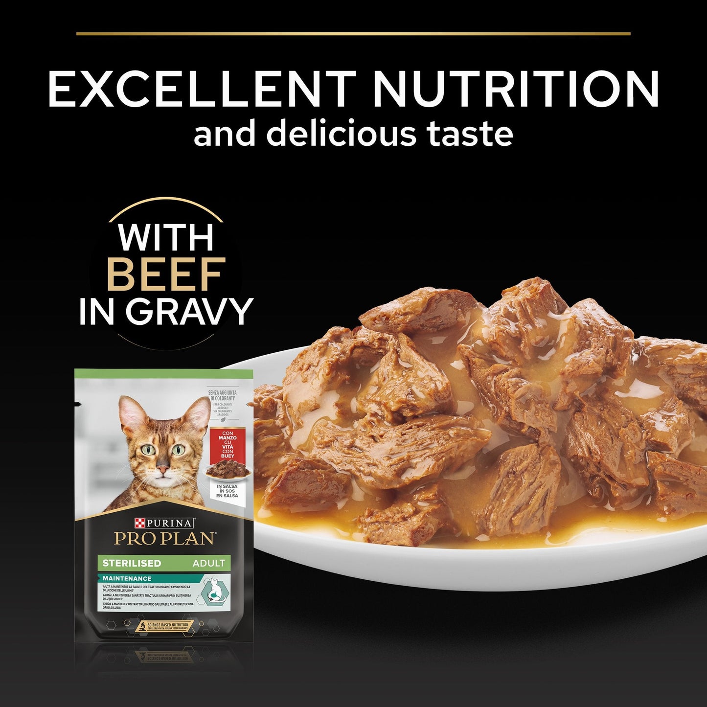 Purina Pro Plan Wet Cat Food, Beef in Gravy