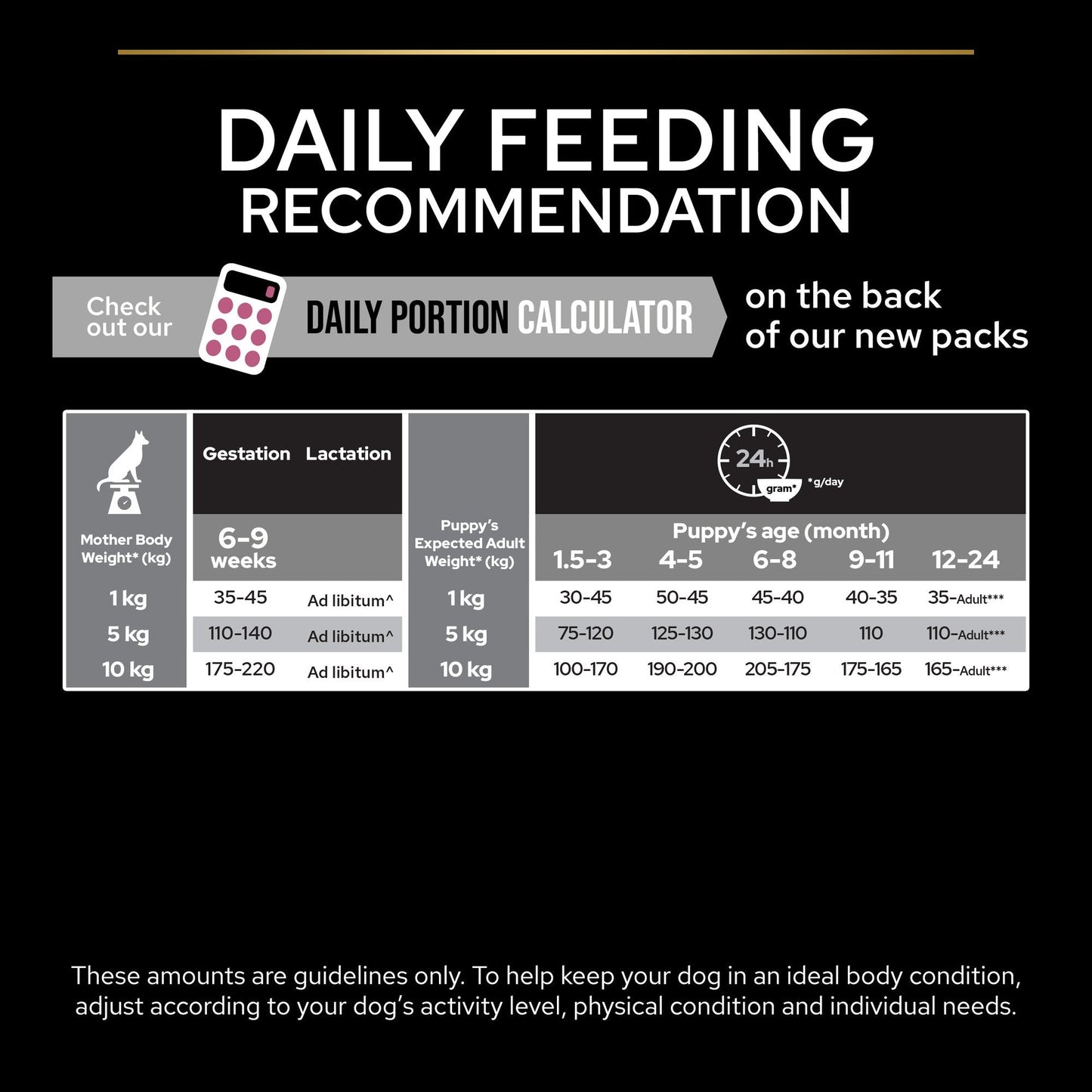 Purina Pro Plan Sensitive Skin Dry Dog food with Salmon for Small and Mini Puppy, 3 kg