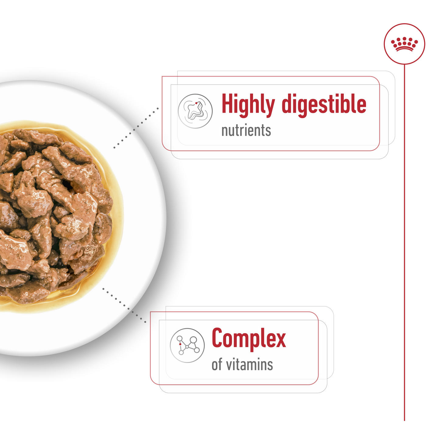 Royal Canin Size Health Nutrition Mini Adult (Dog Wet Food - Pouches)