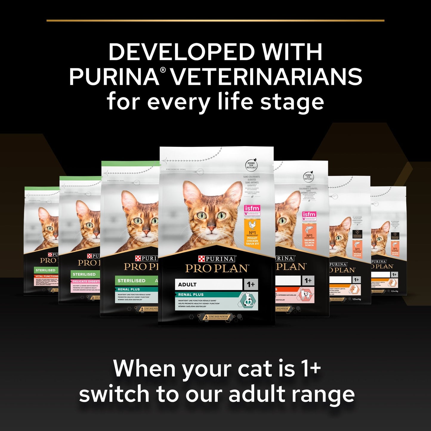Purina Pro Plan Kitten Healthy Start Dry Cat Food with Chicken